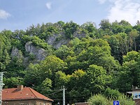 1000062309