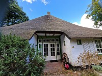 1000065144