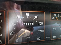 1000098295