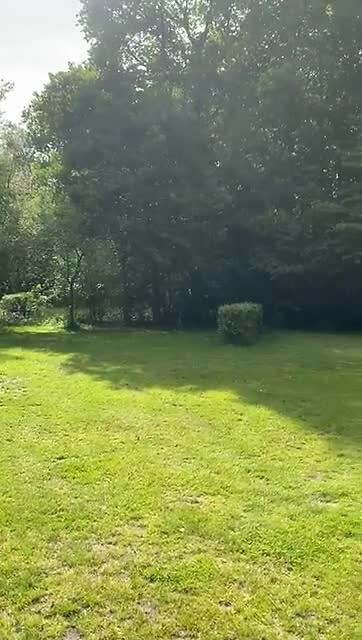 1000102054