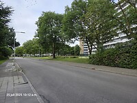 1000055528