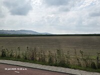 1000055770