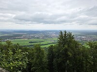 1000058645