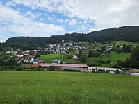 1000059241