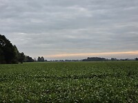 1000069219
