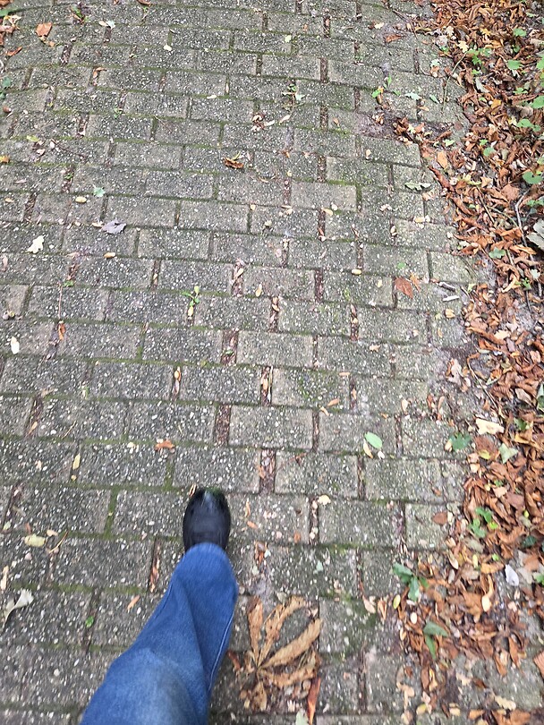 1000069207