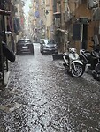 1000072253