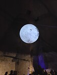1000071388