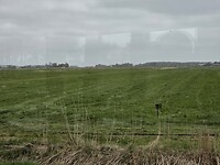 1000107568