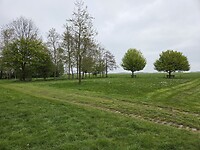 1000107572
