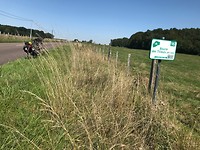 Weer eentje, je kunt je de pokken fietsen hier