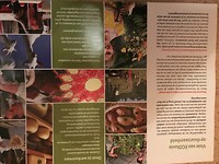 Ecolonie tekst