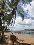 IMG_7219