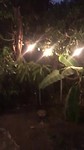Curacao by night allemaal lichtjes