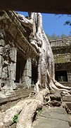 Tha Phrom tempel