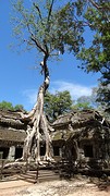 Tha Phrom tempel