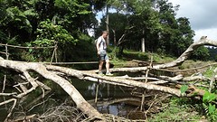 Brug? Het moet er  voor doorgaan.