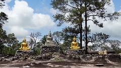 Boddha's op het Bolaven plateau.