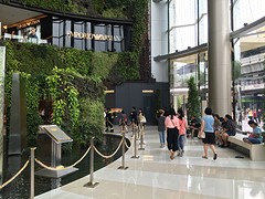 Paragon shopping mall.