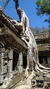 Cambodja en Laos 2016 - 00207