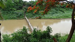 Cambodja en Laos 2016 - 00237
