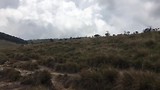 Trail Horton Plains