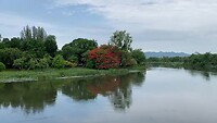 The River Kwai (Khwae Yai)
