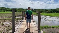 Bamboe brug
