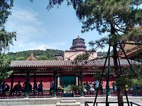 IMG_20190624_105311_3