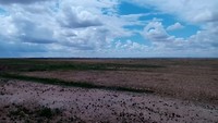 VID_20190630_122529