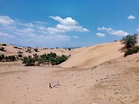 IMG_20190705_111304_9