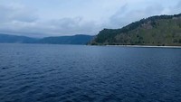 VID_20190715_113416