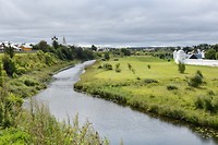 DSC_0460