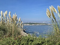 DF26D439-60EA-4E05-888D-A28E82F5D7C7