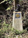 IMG_6174