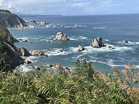 IMG_6278