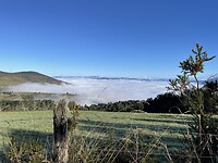 IMG_8466