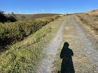 IMG_8727