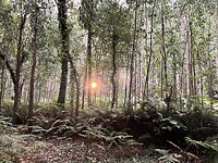 IMG_8758