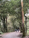 IMG_8760