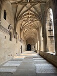 IMG_8810