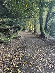 IMG_0479