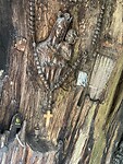 IMG_0550