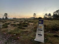 IMG_0594