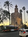 IMG_1310