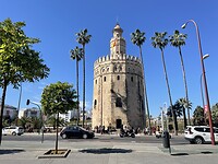 IMG_1328