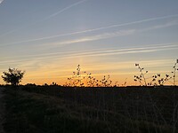 IMG_1388