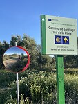 IMG_1390