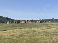 IMG_1411