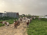 IMG_1427